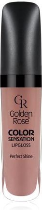 Golden Rose Color Sensation Lipgloss Błyszczyk do ust 108 5,6ml