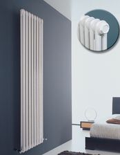 Zdjęcie Irsap Tesi 2 750X225 - Strzelce Krajeńskie