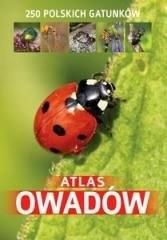 Atlas owadów. 250 polskich gatunków