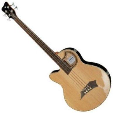 Warwick Rockbass Alien Standard 4 String Acoustic - Ceny i opinie