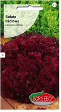 Zdjęcie Torseed  Sałata Liściowa Lollo Rossa - 0,5G - Terespol