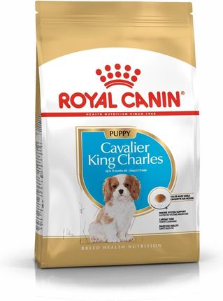 Royal Canin Cavalier King Charles Puppy 2x1,5kg