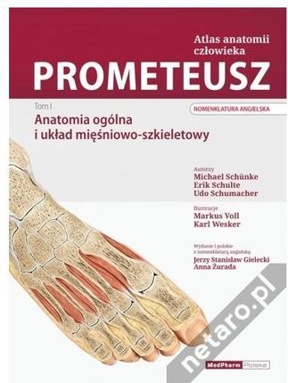 PROMETEUSZ Atlas Anatomii Człowieka Tom I Nomenklatura Angielska