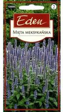 Zdjęcie Eden Mięta Meksykańska 0,1g - Lublin