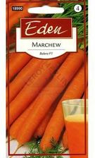 Zdjęcie Eden Marchew Bolero - Olkusz
