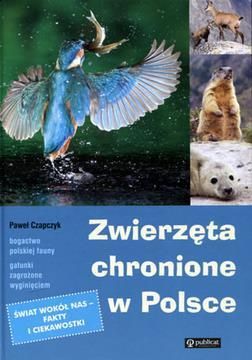 Album Zwierzeta Chronione W Polsce Publicat Ceny I Opinie Ceneo Pl