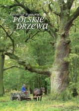 Polskie drzewa - zdjęcie 1