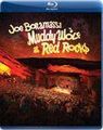 Zdjęcie Joe Bonamassa - Muddy Wolf At Red Rocks (Blu-ray) - Katowice