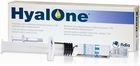 HYALONE Roztwór na zwyrodnienie stawu biodrowego i kolanowego  0,06g/4ml 1 ampułko-strzykawka
