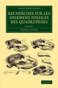 Recherches Sur Les Ossemens Fossiles Des Quadrupedes - Volume 4