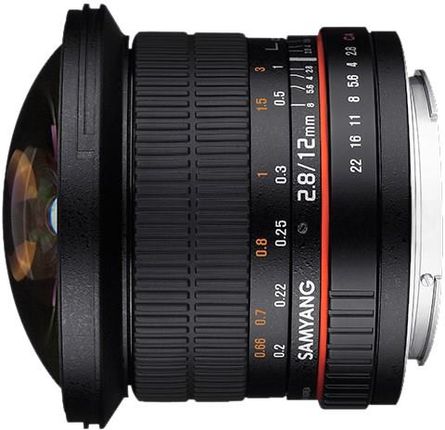 SONY - 【sk8_koki】SAMYANG/12mm F2.8 ソニーα-E Obiektyw do aparatu Samyang 12mm f/2.8 ED AS NCS Fish-Eye