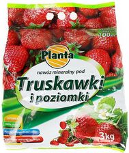 Zdjęcie Planta pod Truskawki i Poziomki 3kg - Słupca