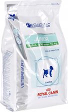 royal canin pediatric junior small