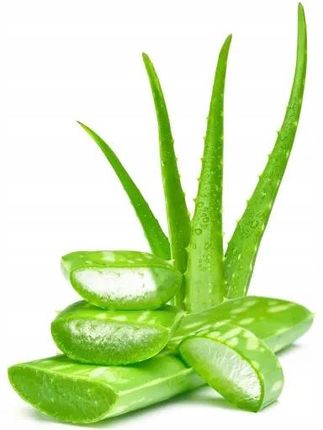aloe vera deodorant roll on Aloe Mineral Deodorant Roll-On
