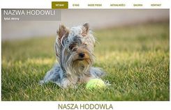 NETSTAR Szablon Joomla / WordPress dla hodowli psów (SH2c) - zdjęcie 1