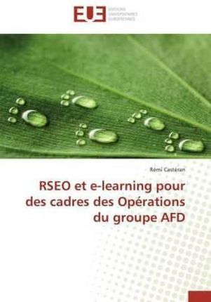 Rseo Et E-Learning Pour Des Cadres Des Operations Du Groupe Afd