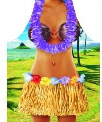 Darymex nr 15 hawaii woman 