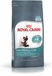 ROYAL CANIN Hairball Care 2 kg karma sucha dla kotów dorosłych, eliminacja kul włosowych- od 99 zł DARMOWA DOSTAWA