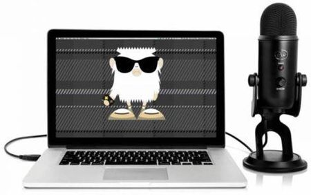 Mikrofon Blue Yeti Blackout - Ceny i opinie - Ceneo.pl