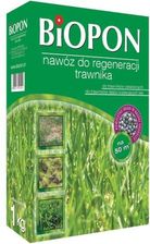 Zdjęcie BIOPON DO REGENERACJI TRAWNIKA 1KG - Andrychów
