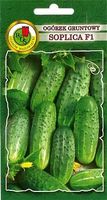 Zdjęcie Pnos Ogórek Gruntowy Soplica F1 5g - Łomianki