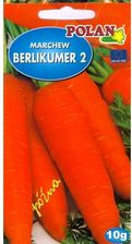 Polan Marchew Berlikumer 2 Perf. 5g