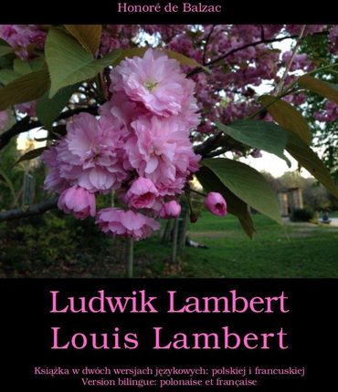 Ludwik Lambert. Louis Lambert (E-book)