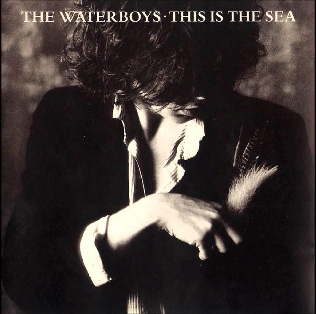 Płyta kompaktowa The Waterboys This Is The Sea (CD) Ceny i opinie Ceneo.pl