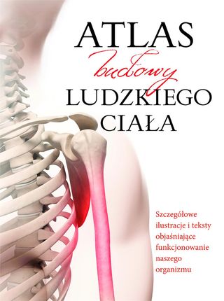 Atlas budowy ludzkiego ciała 