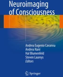 Neuroimaging Of Consciousness