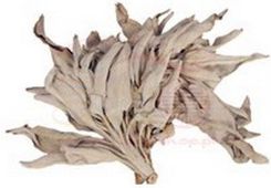 Zdjęcie Biała szałwia (25g) - Łódź