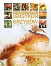 Ilustrowany leksykon grzybów w Polsce - zdjęcie 1