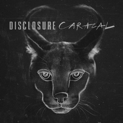 Disclosure: Caracal (CD)