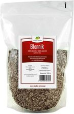 Zdjęcie Słodkie Zdrowie Błonnik babka płesznik, jajowata 1kg - Sulejówek