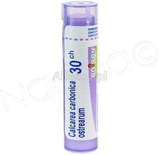 Zdjęcie Boiron Calcarea Carbonica Ostrearum 30CH 4 g - Czersk