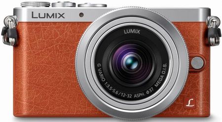 Aparat cyfrowy Panasonic Lumix DMC-GM1 Brązowy + 12-32mm
