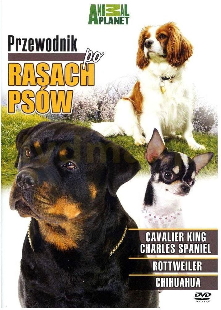 Film DVD Discovery Animal Przewodnik Po Rasach Psów 2 (DVD