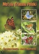 Zdjęcie Motyle dzienne Polski Lepidoptera:Hesperioidea Papilionoidea - Trzebinia