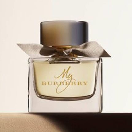 Burberry hotsell 104 ml