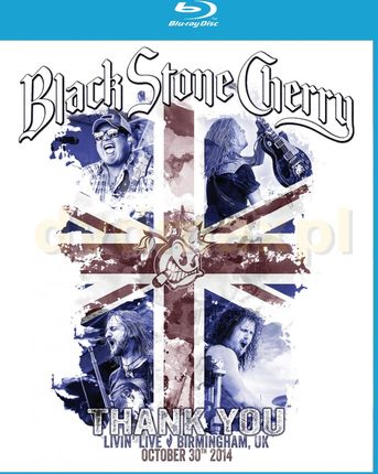 Black Stone Cherry - Livin' Live - Birmingham, UK, October 30th 2014 (Blu-ray)
