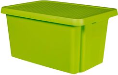 Curver Pojemnik Essentials 45l Zielony - Skrzynie i pojemniki na zabawki