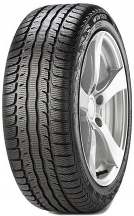 Voyager Winter 225/45R17 91H