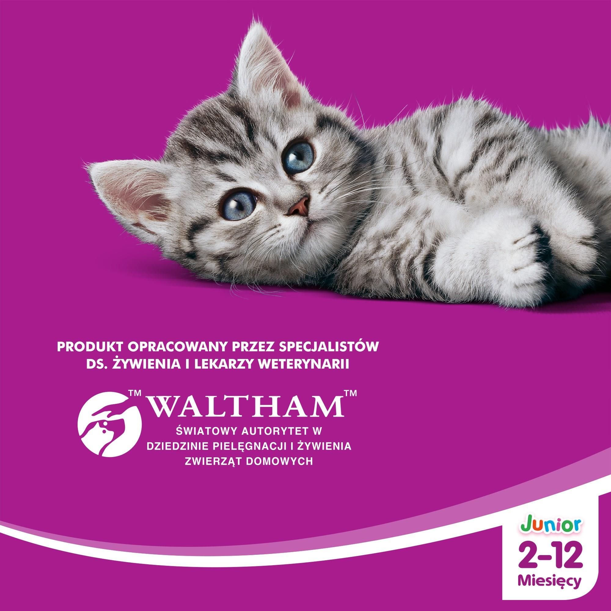 Karma Whiskas Junior (212 miesięcy) Wybór Dań Drobiowych w galaretce