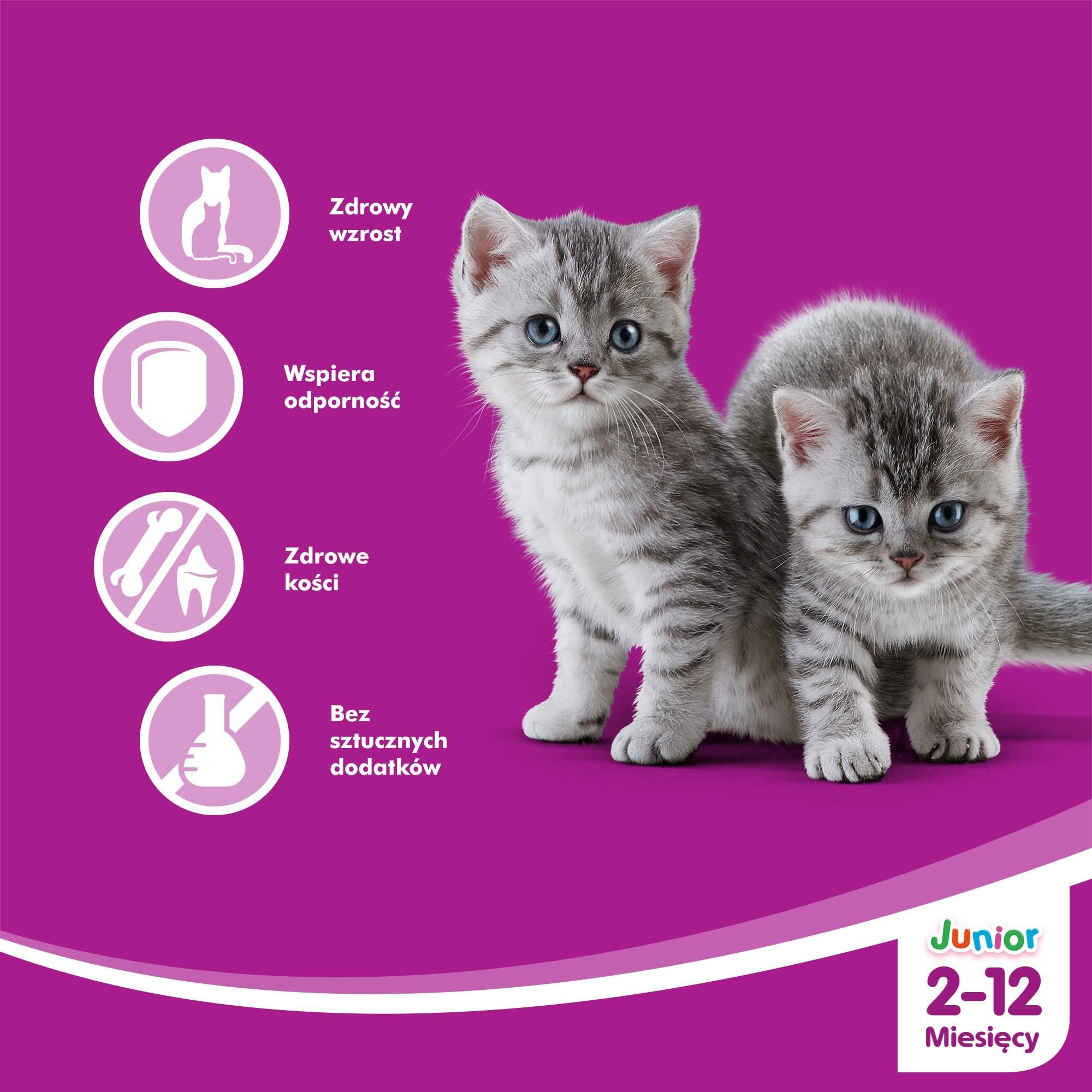 Karma Whiskas Junior (212 miesięcy) Wybór Dań Drobiowych w galaretce