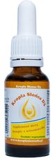 Proved Kropla Słońca D3 Witamina D w Kroplach 20ml