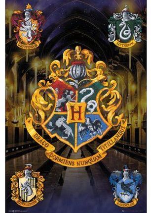 Harry Potter - plakat