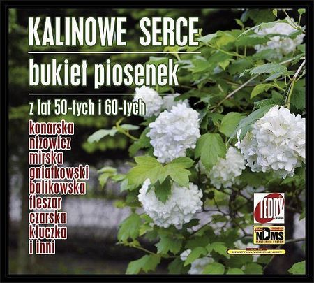 Kalinowe Serce Bukiet Piosenek Z Lat50I60 (CD)