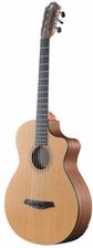 Furch GN2 CW + L.R. Baggs
