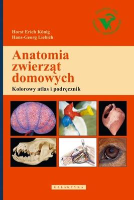 Anatomia zwierząt domowych weterynaria  Kolorowy atlas i podręcznik