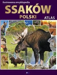 Ilustrowana encyklopedia ssaków polski